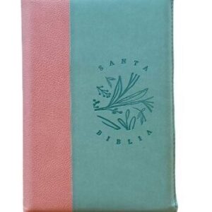 Biblia Letra Grande 14 puntos Reina Valera